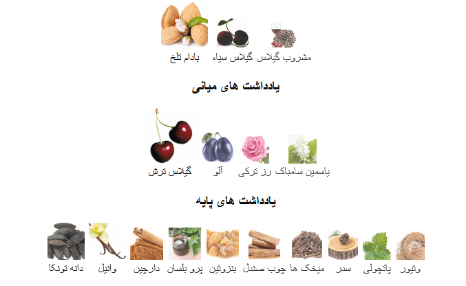 تام فورد لاست چری